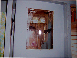 Click to enlarge gokarna (photo, 30x40 cm, 2007) by heike kastler